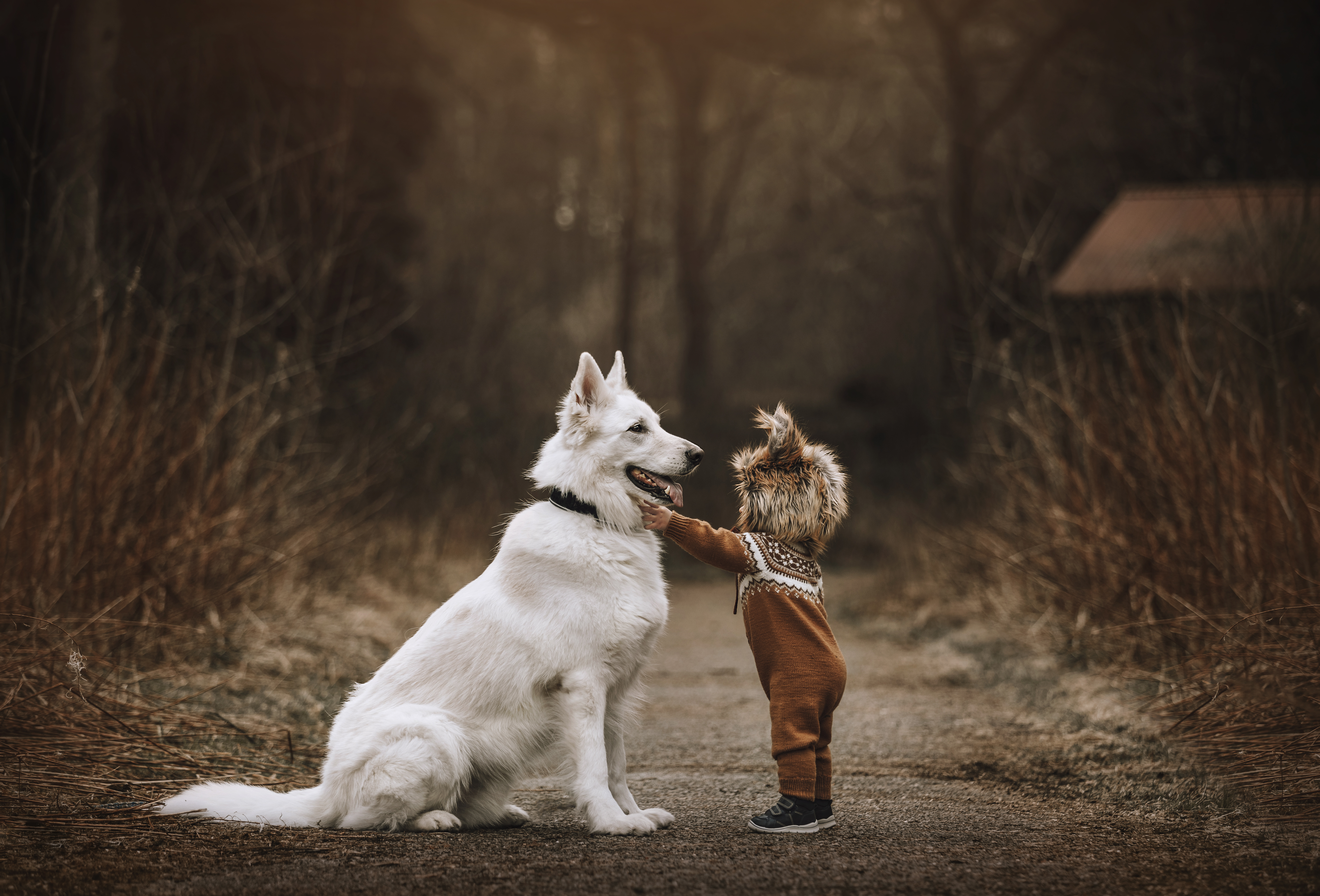 Familiefotografering familie fotograf stavanger familiebilder 
