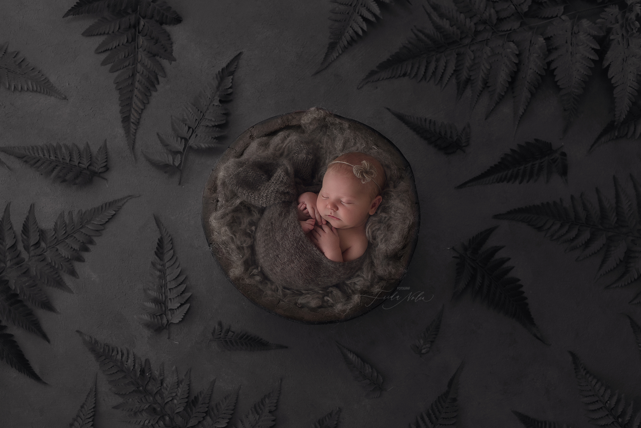 nyfødtfotografering nyfødtfoto nyfødtfotograf nyfødt fotograf stavanger